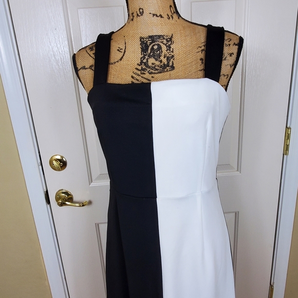 Alexia AdmorMarissa Two Tone Midi Dress - Picture 4 of 11